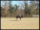 Reining Horse for Sale - Lil Gun Tech - Marbry Performance Horses