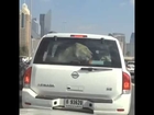 Lion riding in Nissan Armada in Dubai