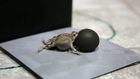 'Robo-frog' - the robotic romeo who gets the girl