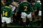 Springboks fan attacks rugby referee during All Blacks Game