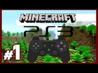 Noob Plays Minecraft PS3 Edition - Surviving Our First Night Part 1