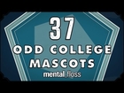 37 Odd College Mascots - mental_floss on YouTube (Ep. 22)