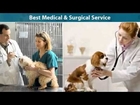 Inland Valley Emergency Pet Clinic - Upland, CA