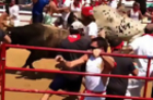 Watch: The Great Bull Run Brings Spanish Tradition to U.S.