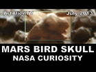Mars Bird Skull & Alien Technology: Curiosity Rocknest Anomalies: WOB 