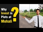 Why Invest in Plots at Mohali | Yourbdesk | Call 844-844-0177