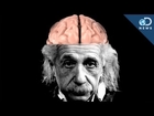 How Einstein's Brain Is Different Than Yours