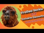 ViralReel Review, white label bonuses,  exclusive discount Coupons