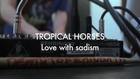 Tropical Horses - Love with Sadism (Froggy's Session)