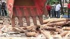 Philippines first in Asia to destroy ivory tusks