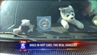 Man Sits in Hot Car to Demonstrate Dangers For Dogs