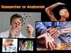 Human Anatomy and Physiology – Recommended Anatomy of Human Body Course!