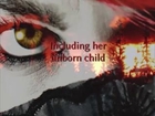 Blood Red Dawn by Karen E Taylor Book Trailer