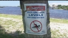 Is toxic St. Lucie River killing fish?