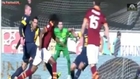 Hellas Verona vs AS Roma ( 1-3 ) All Goals & Highlights ( Serie A ) 26-01-2014 HD