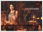 Hot marathi actress zee talkies calendar 2014